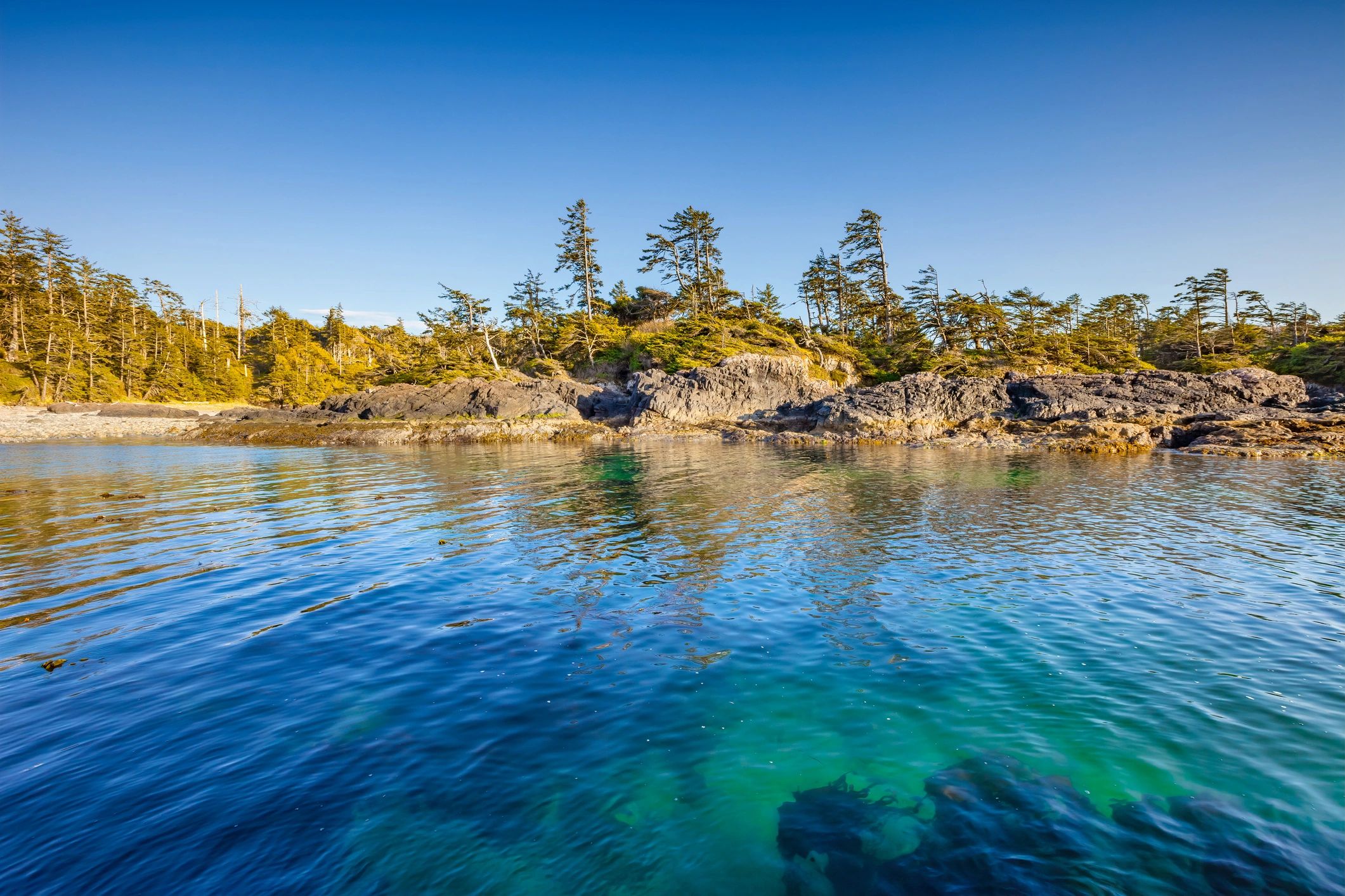 Rocky beach on Vancouver Island with gentle waves