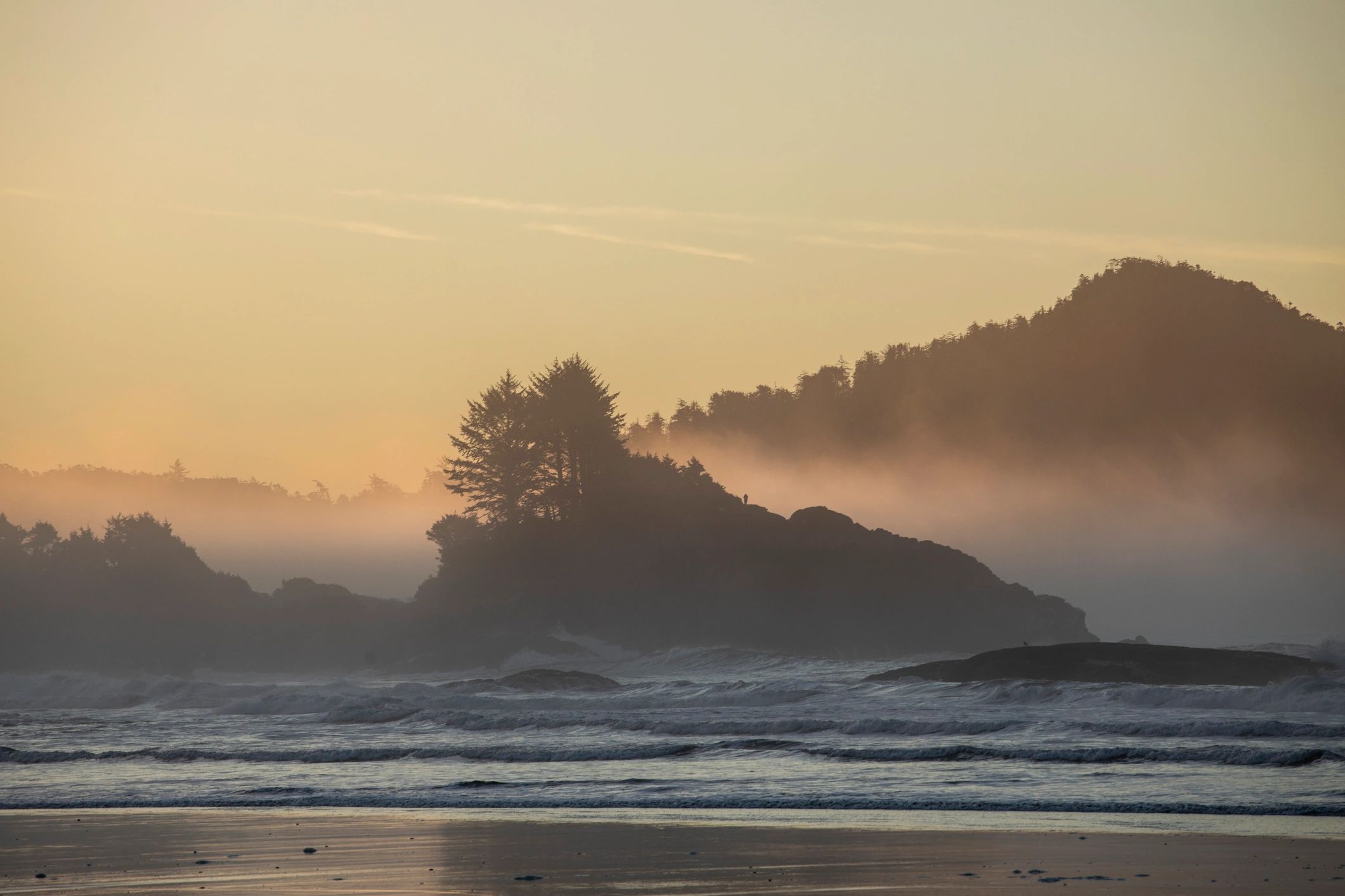 Vancouver Island shoreline at sunset