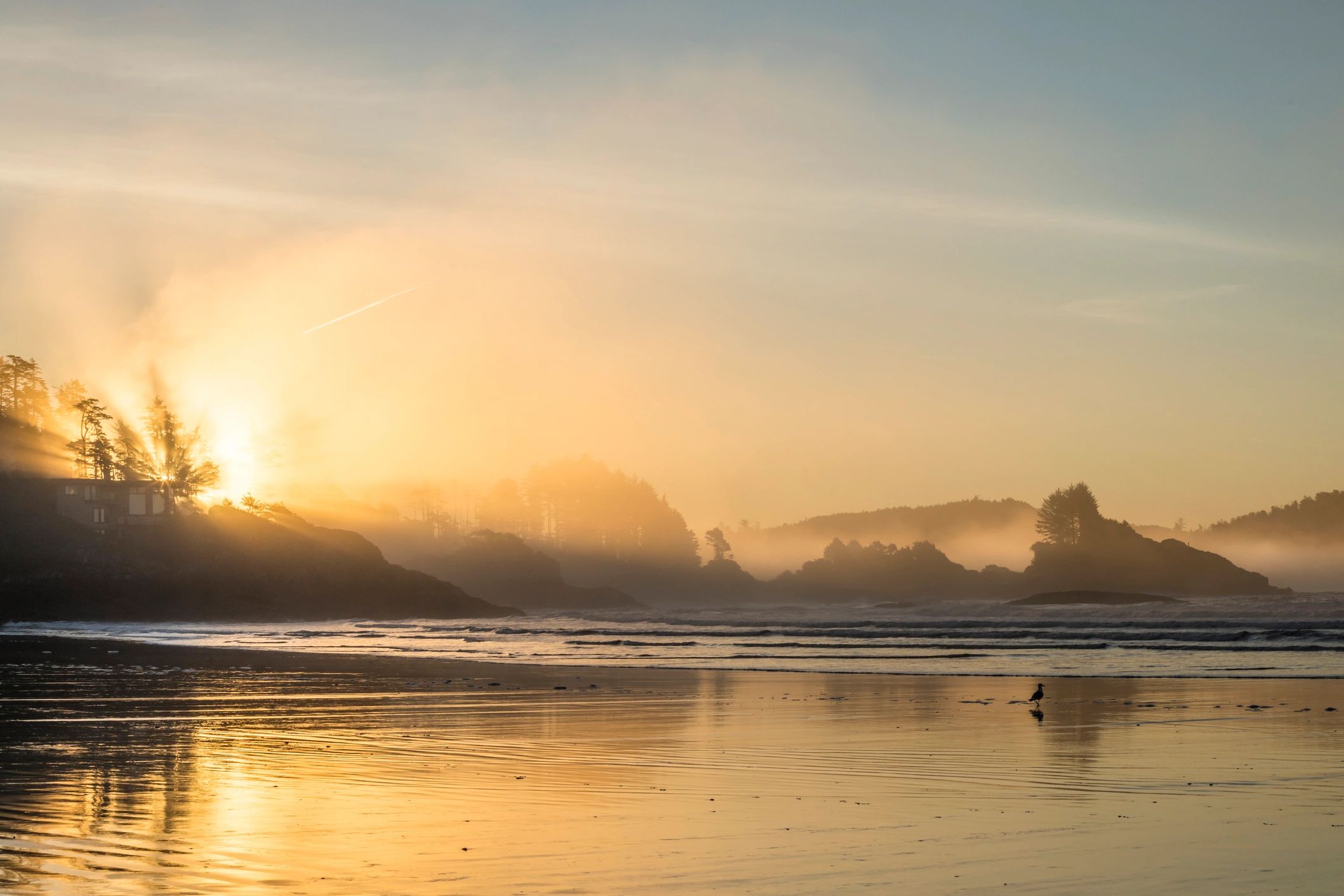 Beach and surf with forested hills at sunset